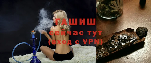 стаф Дмитровск