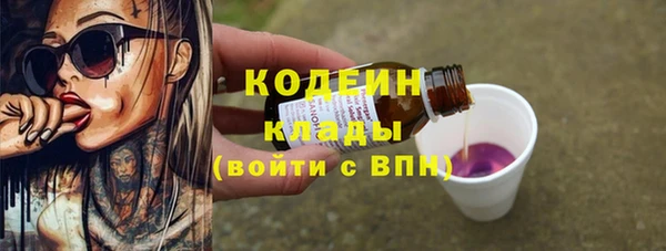 ГАЛЛЮЦИНОГЕННЫЕ ГРИБЫ Гусев
