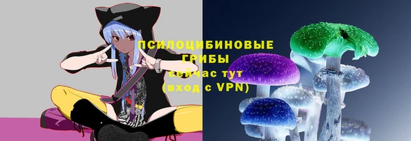 a pvp Гусиноозёрск