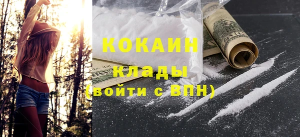 ГАЛЛЮЦИНОГЕННЫЕ ГРИБЫ Гусев