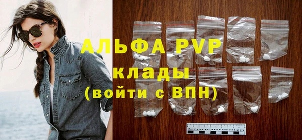 ГАЛЛЮЦИНОГЕННЫЕ ГРИБЫ Гусев