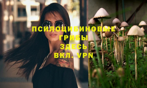 a pvp Гусиноозёрск