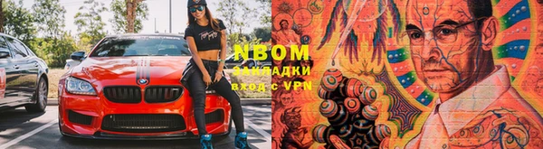 стаф Дмитровск