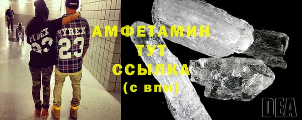 ПСИЛОЦИБИНОВЫЕ ГРИБЫ Дмитриев