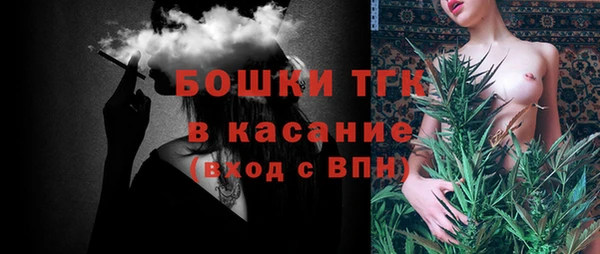 ГАЛЛЮЦИНОГЕННЫЕ ГРИБЫ Гусев