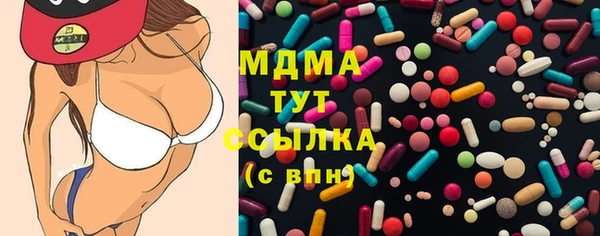 ГАЛЛЮЦИНОГЕННЫЕ ГРИБЫ Гусев