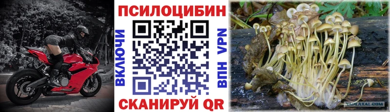 Псилоцибиновые грибы GOLDEN TEACHER  Купить  Суздаль 