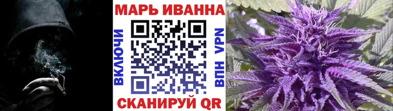 Бошки Шишки семена  Купить закладки  Суздаль 